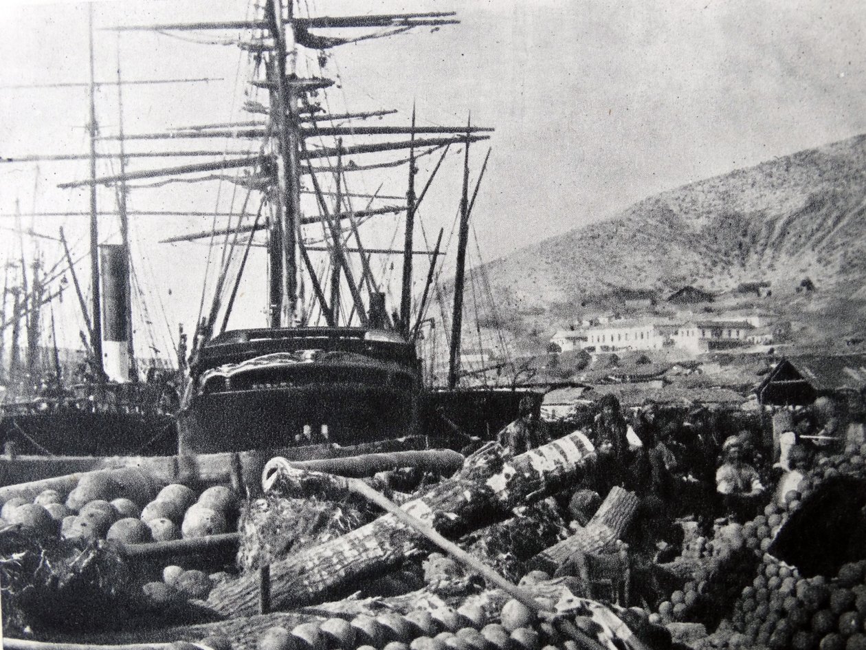 Der Ordnance Wharf, Balaclava von Roger Fenton