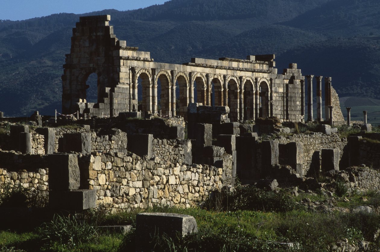 Basilika, 217 n. Chr. von Roman