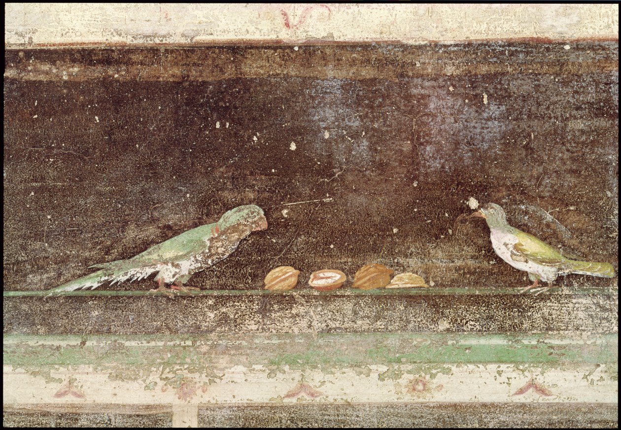 Vögel, die Nüsse essen (Detail) von Roman