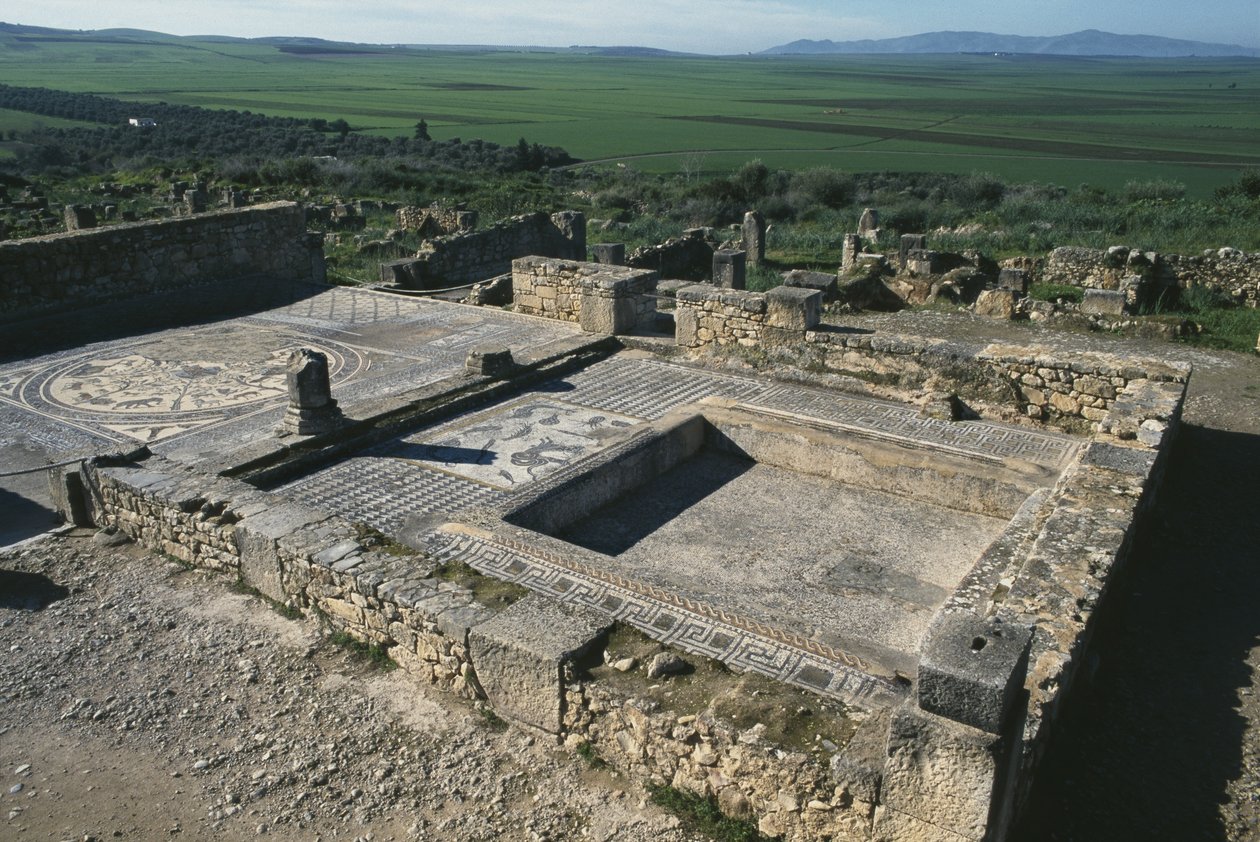 Pflaster eines Patrizierhauses von Roman