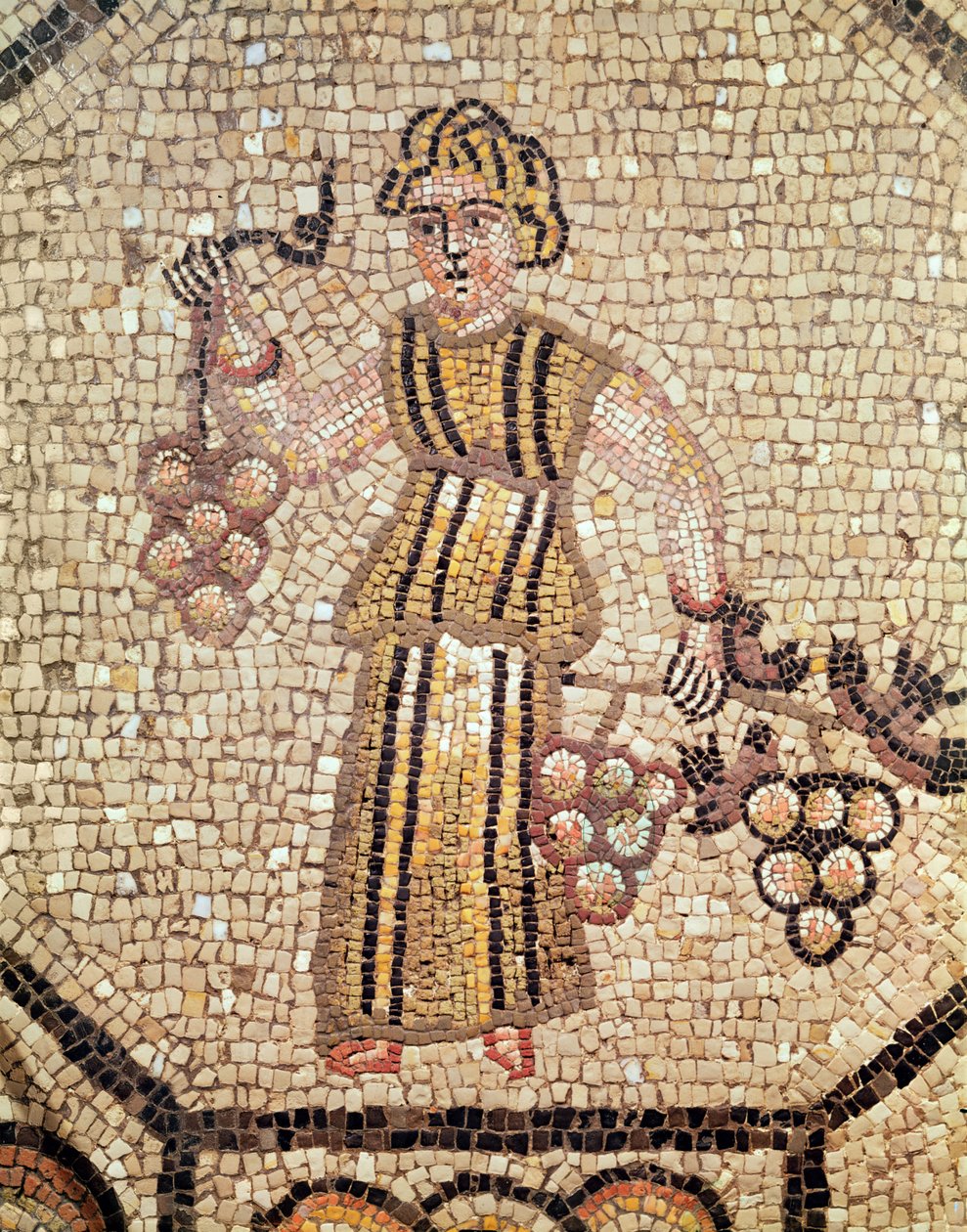 Der Traubenverkäufer von Roman