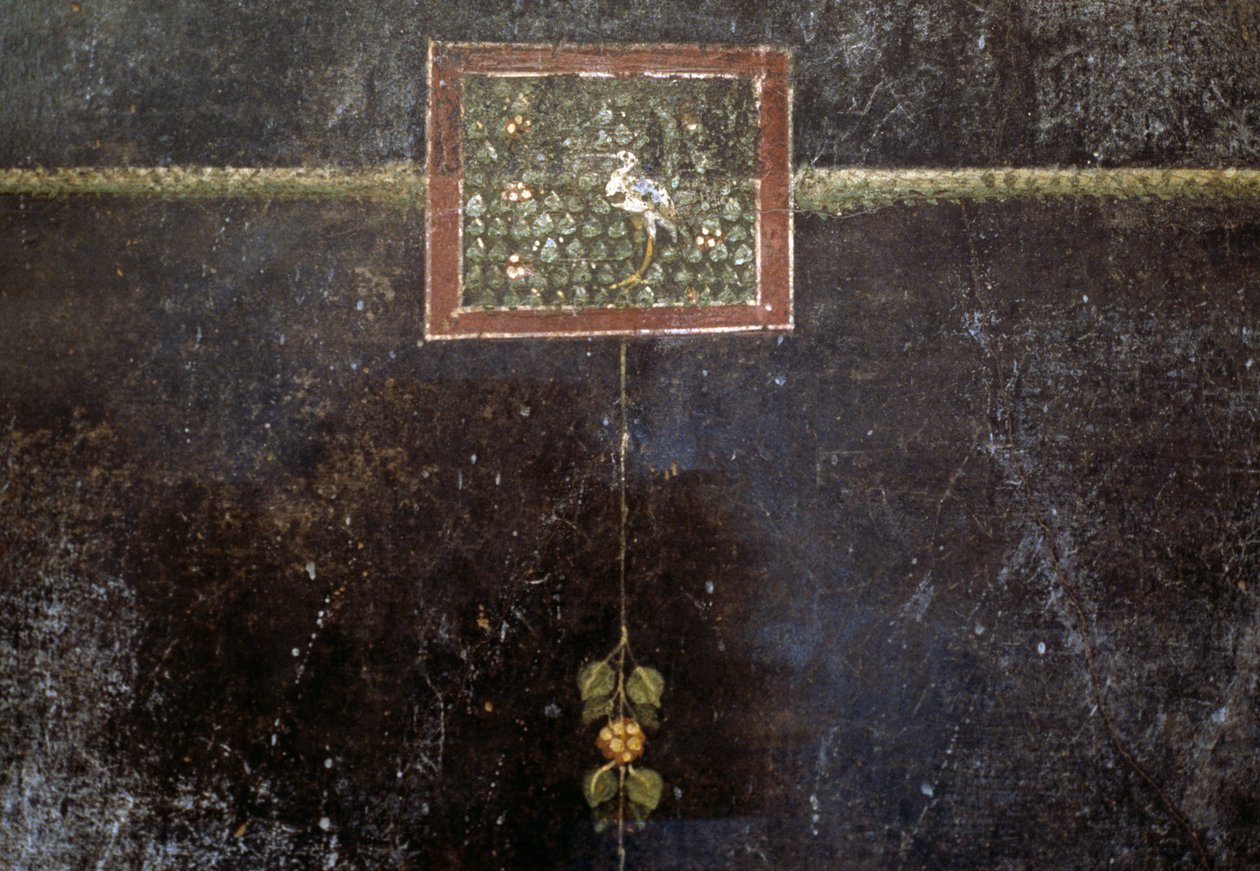 Fresken aus der Villa Dei Mysteri von Roman
