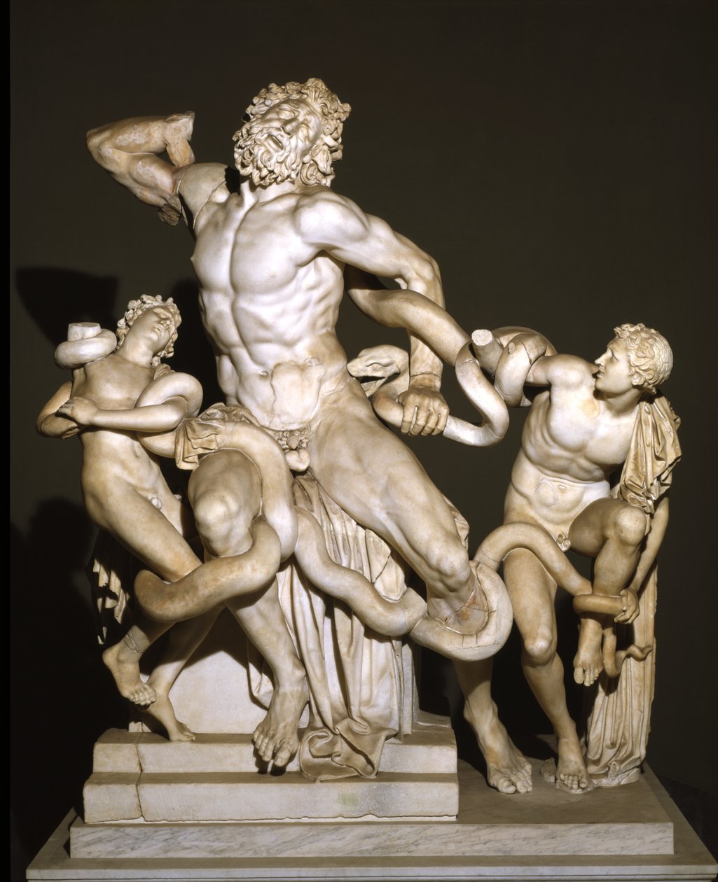 Laokoon und seine Söhne von Roman