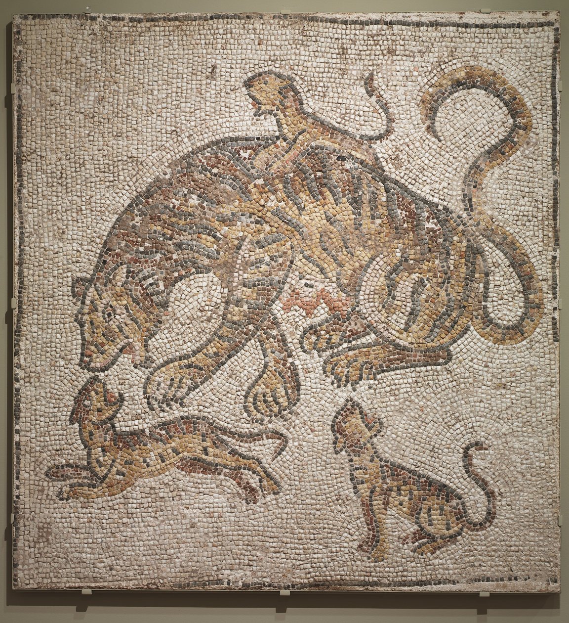 Tigerin und Junge, ca. 300 n. Chr. von Roman