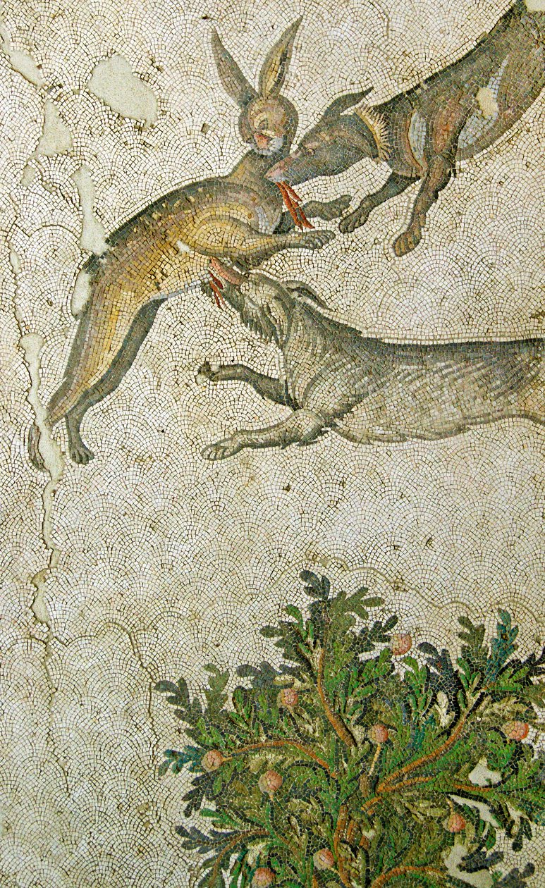 Unbekanntes Bild von Roman