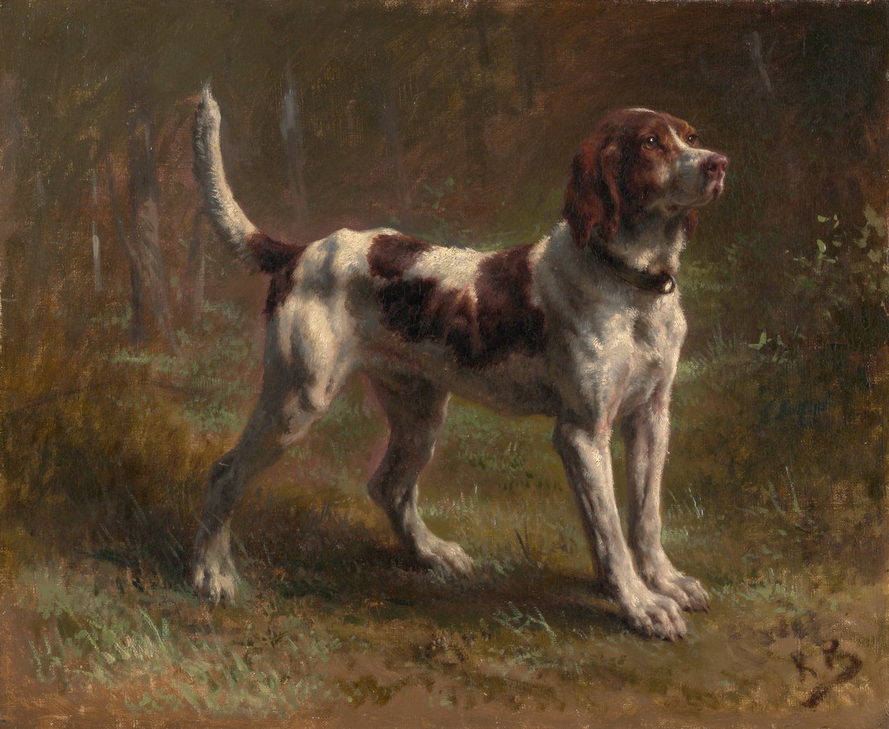 Ein Limier Briquet Hund, ca. 1856 von Rosa Bonheur