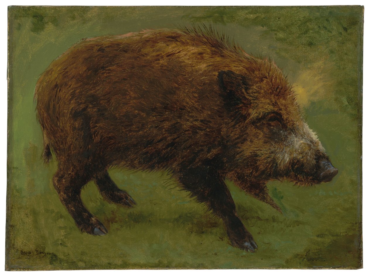 Das Wildschwein von Rosa Bonheur