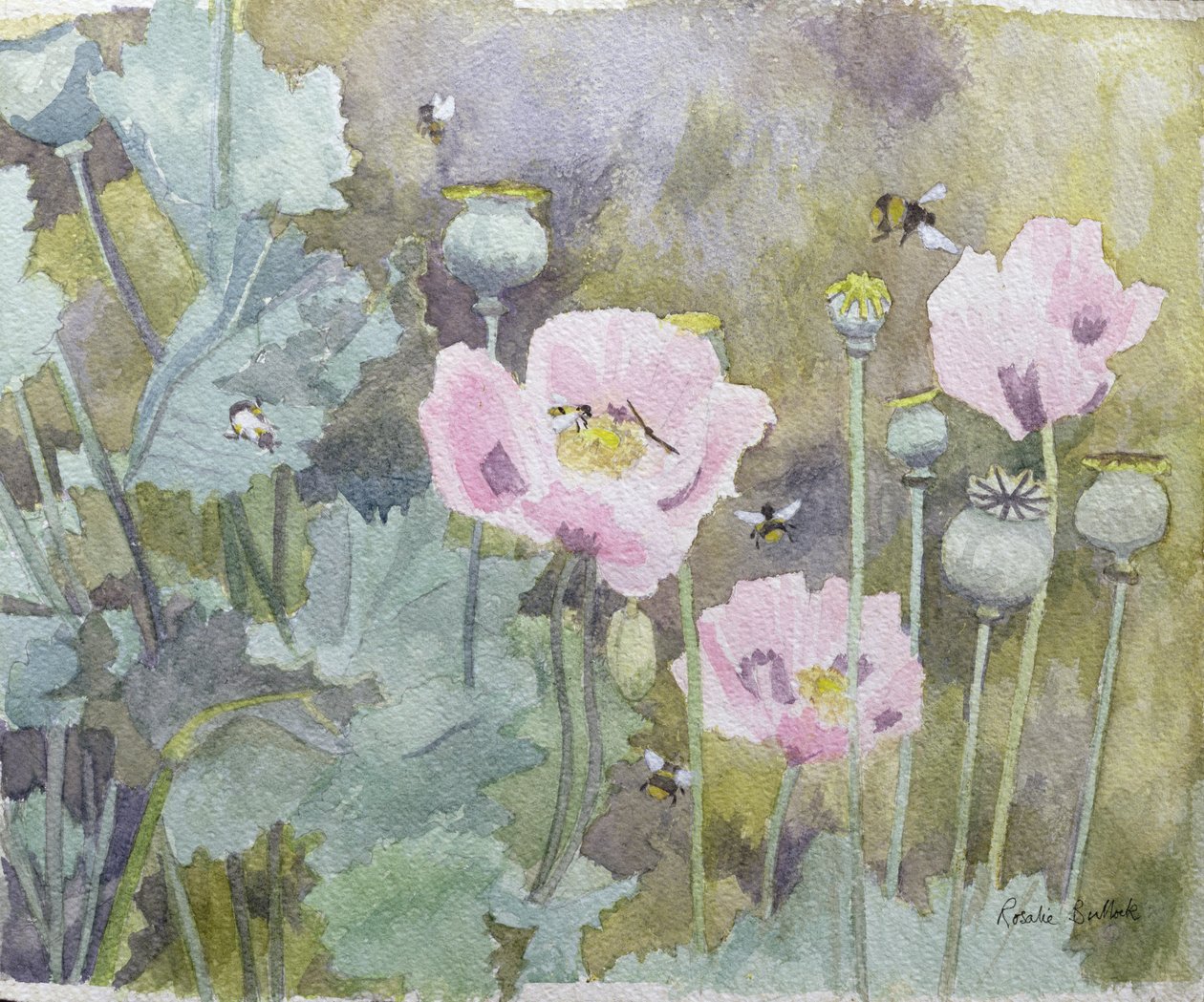 Rosa Mohnblumen mit Bienen von Rosalie Bullock