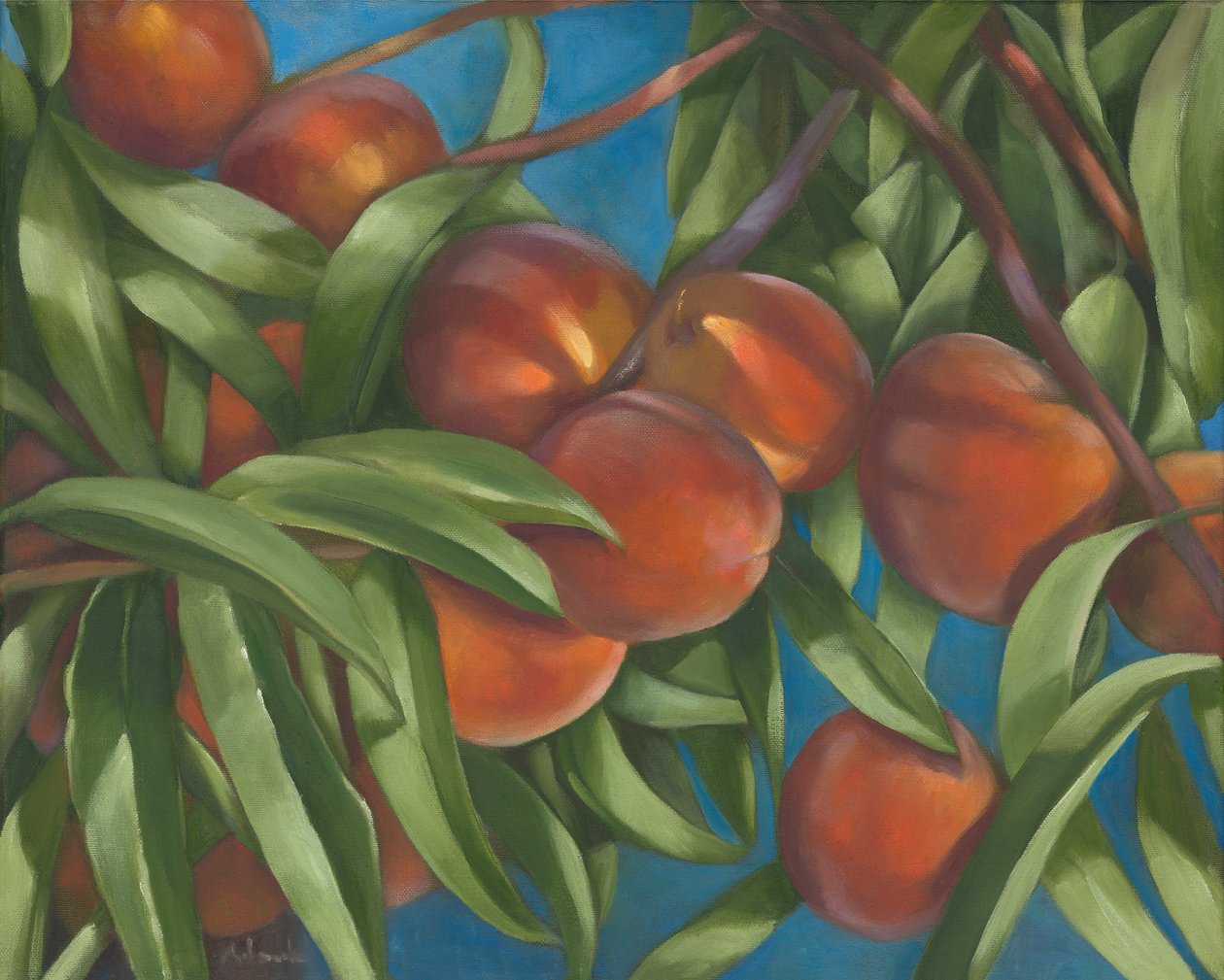 Pfirsichbaum, 2014 von Rosemarie Adcock