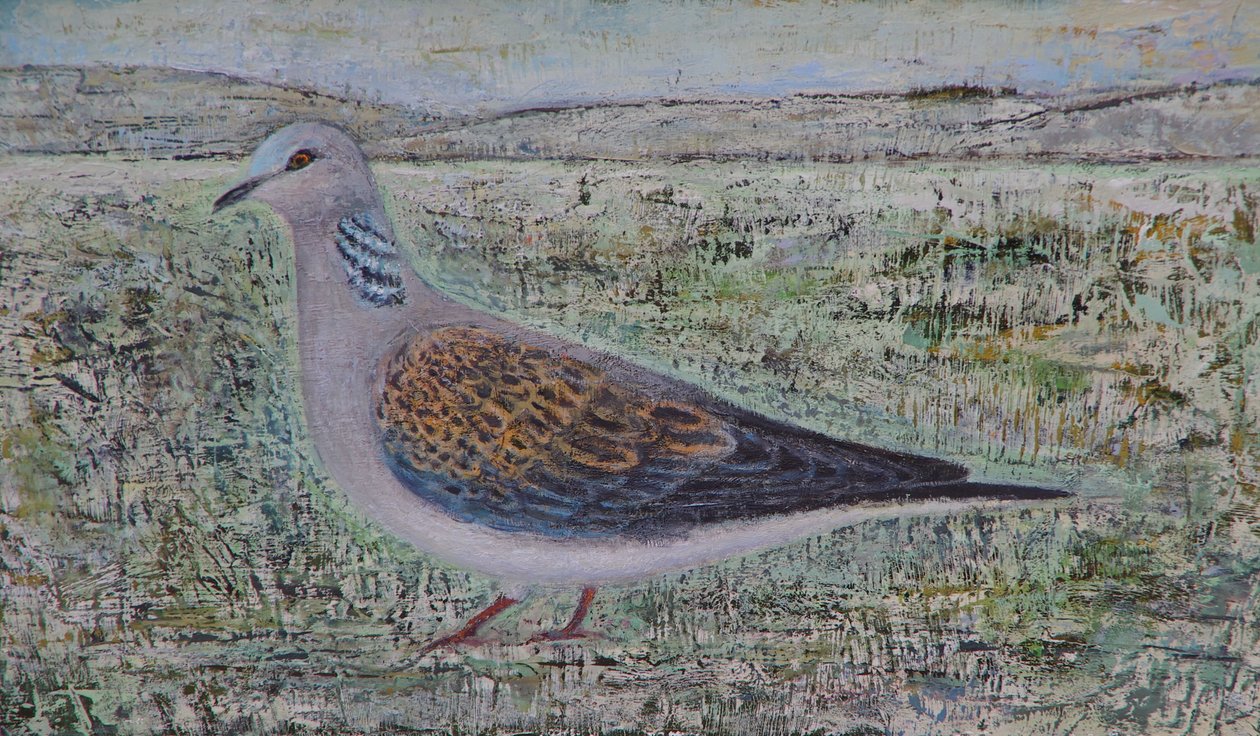 Turteltaube von Ruth Addinall