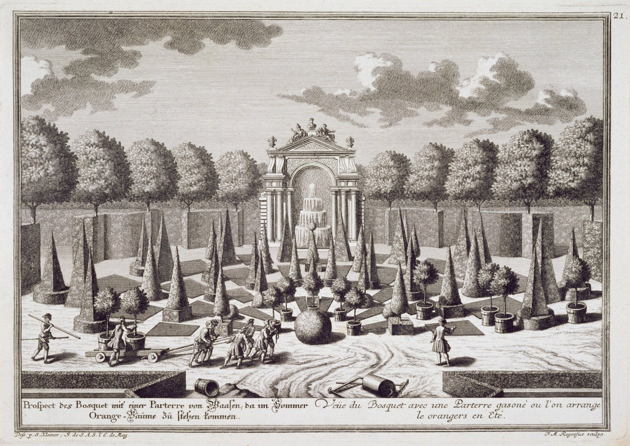 Ein Parterre mit Orangenbäumen im Garten des Lichtenstein-Palastes, Wien, graviert von Franz Michael Regenfus (ca. 1712-80), veröffentlicht ca. 1724-37 von Salomon Kleiner