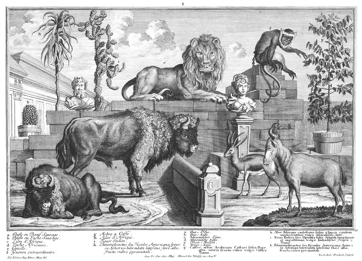 Löwe und Wisentpaar von Salomon Kleiner
