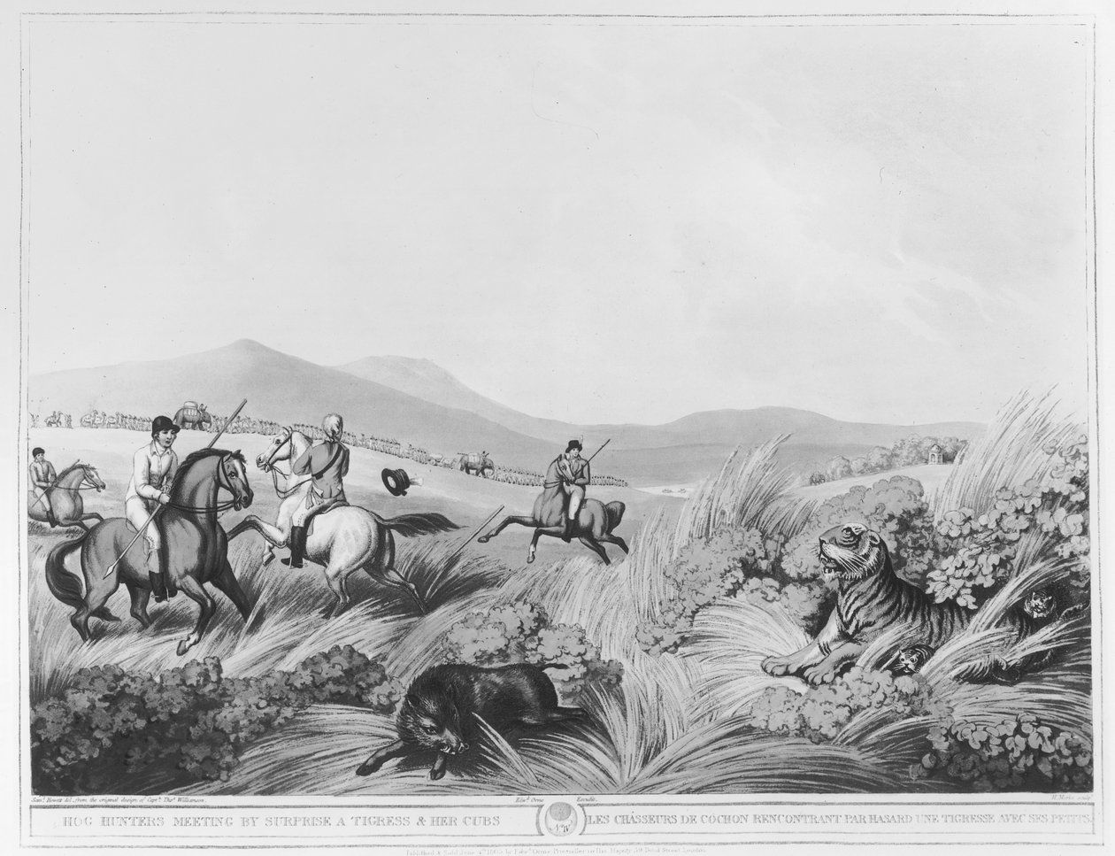 Hog Hunters treffen überraschend auf eine Tigerin und ihre Jungen, graviert von H. Merke nach einem Originalentwurf von Captain Thomas Williamson, veröffentlicht von Edward Orme von Samuel Howett
