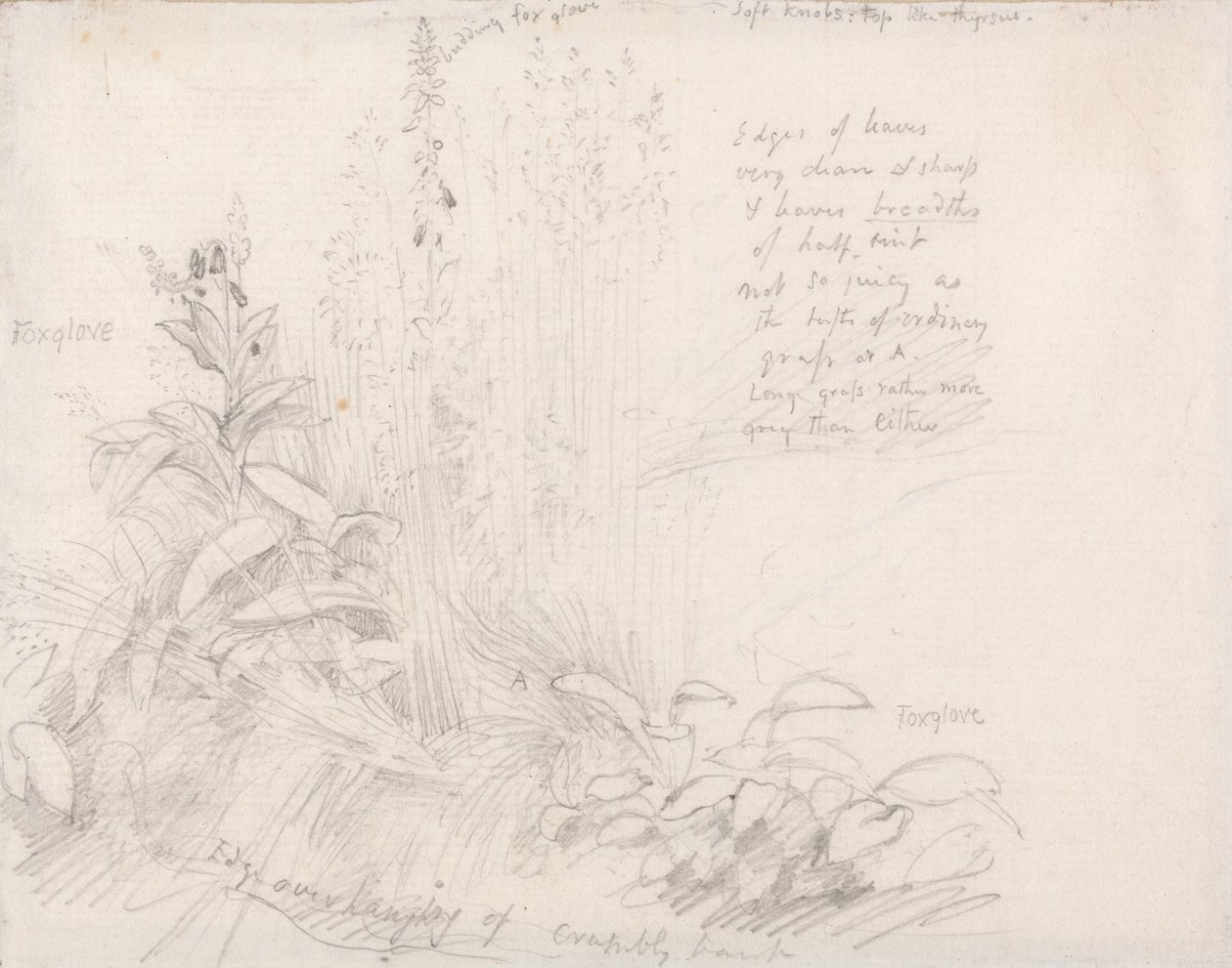 Fingerhüte von Samuel Palmer