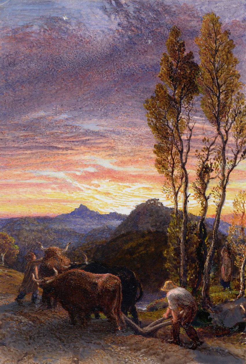 Ochsen pflügen bei Sonnenuntergang von Samuel Palmer