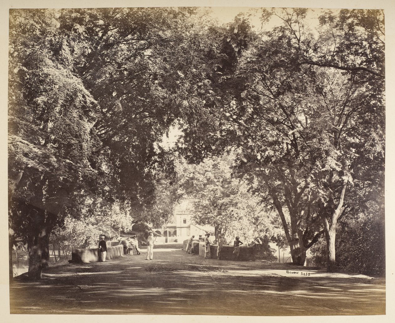 Ein Baumtorbogen in der Nähe von Tanjore von Samuel Bourne