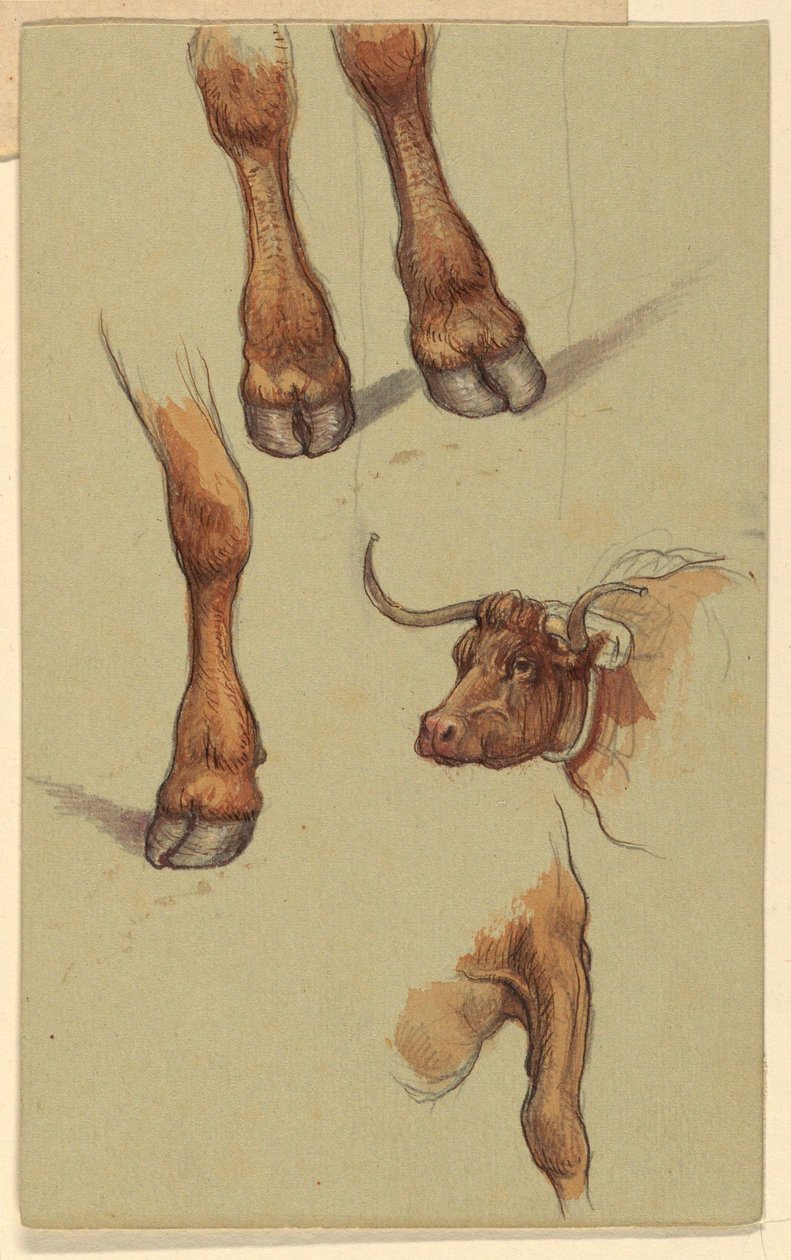Zeichnung, Skizzen aus Narragansett, Rhode Island, 1871 von Samuel Colman