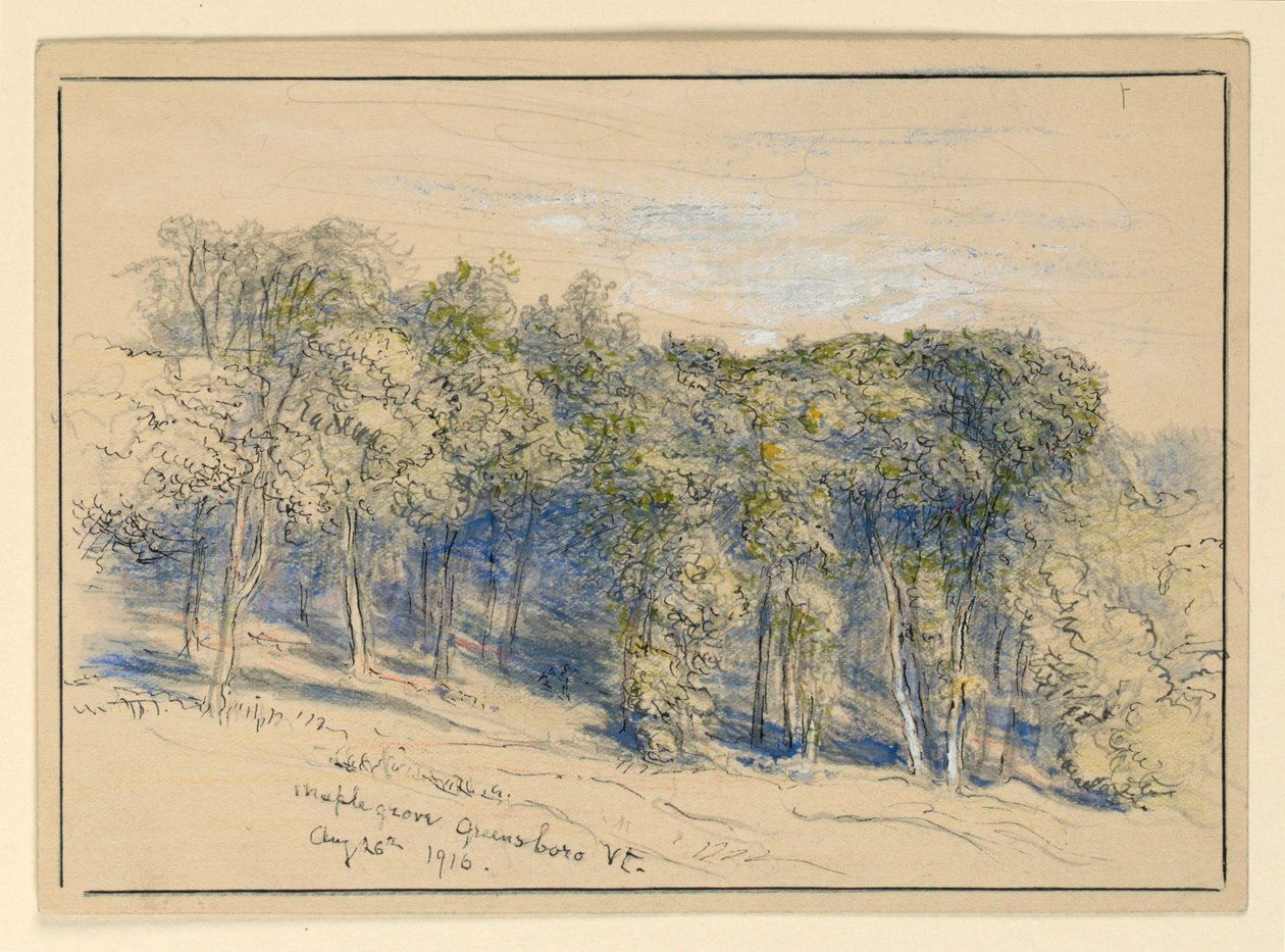 Studie des Ahornhains, Greensboro, Vermont von Samuel Colman