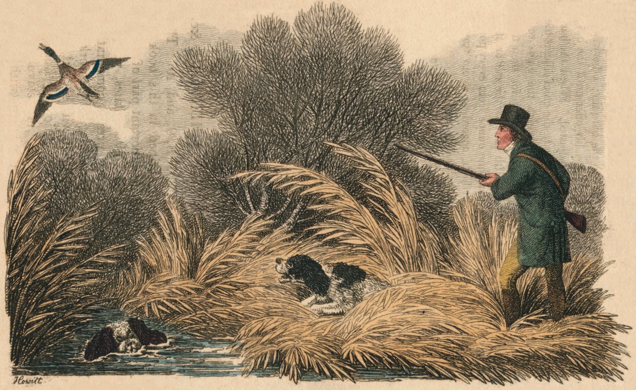 Entenjagd, 1810 von Samuel Howitt