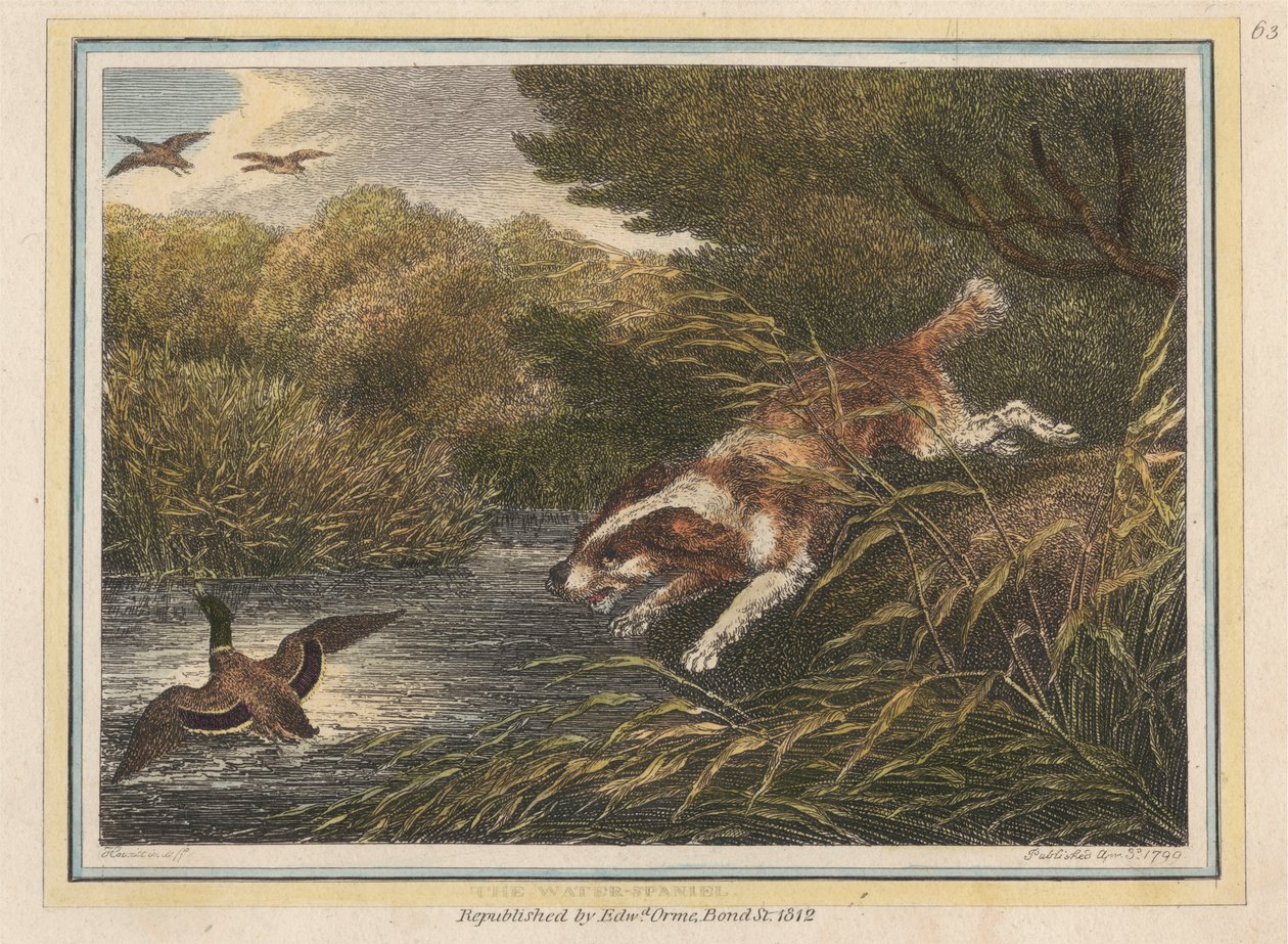 Der Wasserspaniel von Samuel Howitt