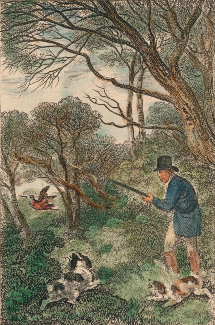 Schnepfenjagd, 1819 von Samuel Howitt