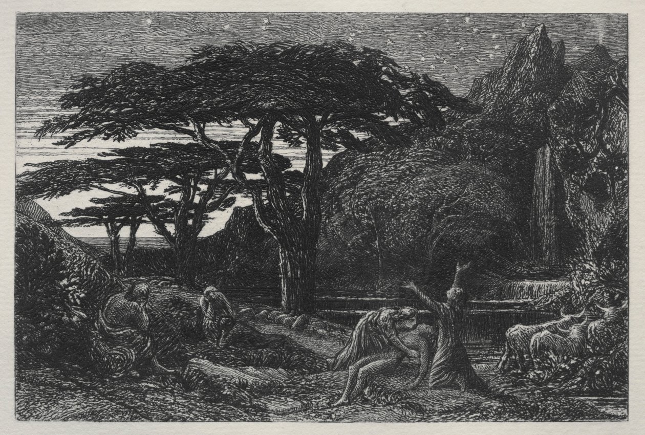 Der Zypressenhain, 1883 von Samuel Palmer
