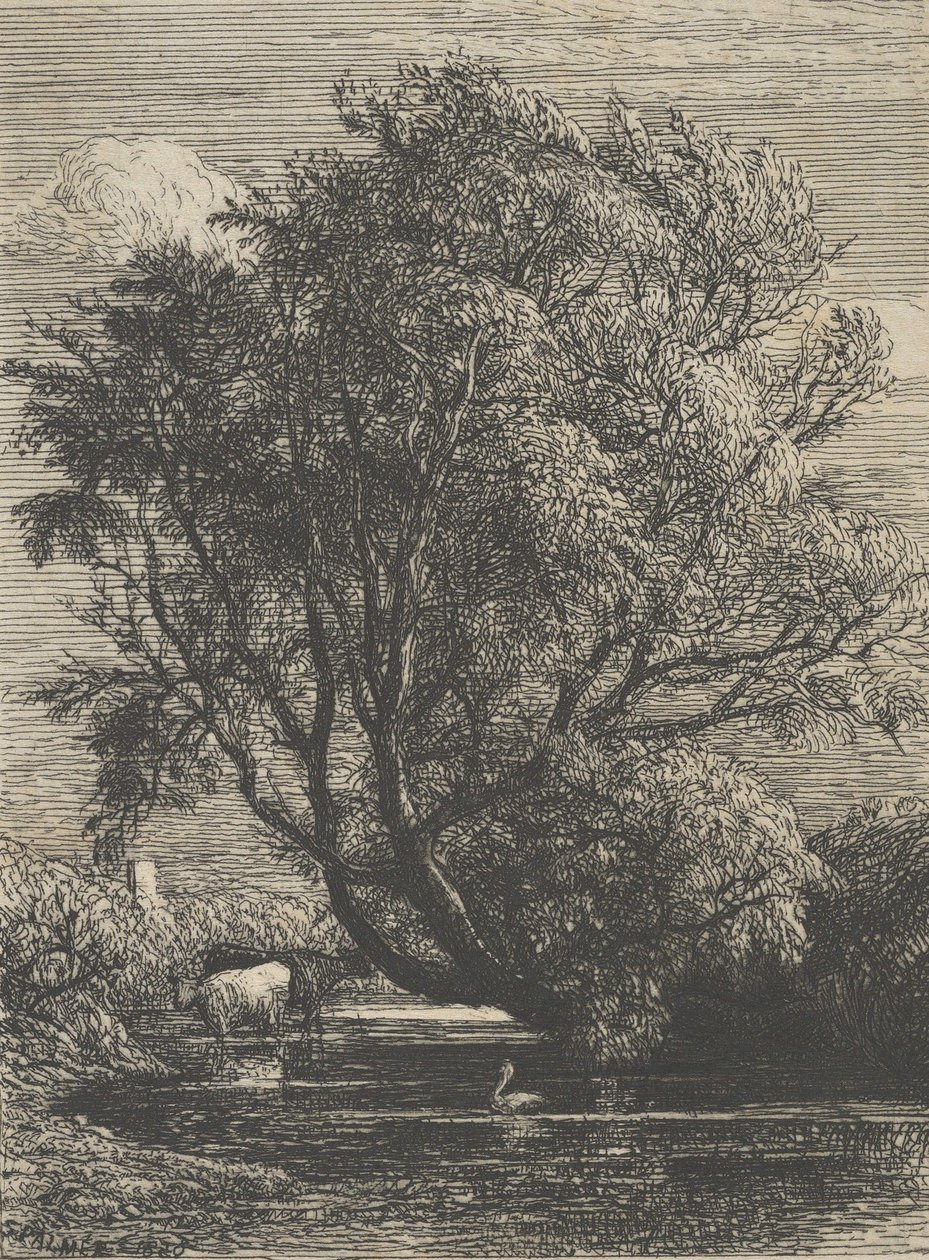 Die Weide, 1850 von Samuel Palmer