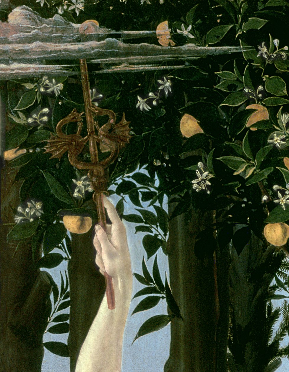Primavera, ca. 1478 (Detail) von Sandro Botticelli