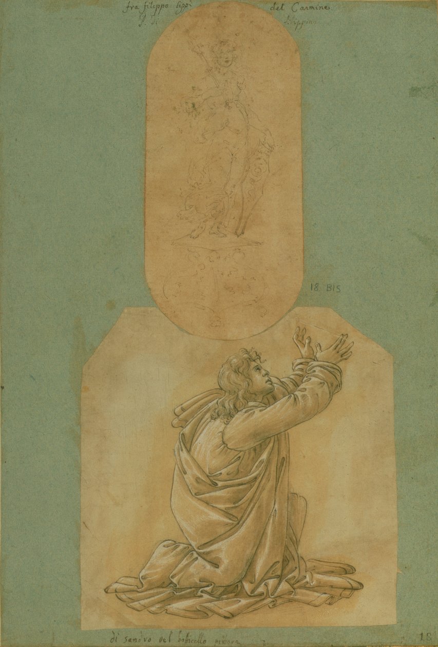 Studie des Heiligen Thomas von Sandro Botticelli
