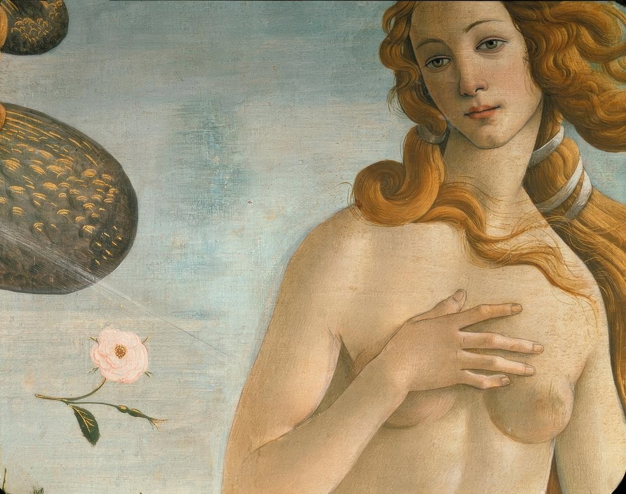 Die Geburt der Venus (Venus Anadyomene) von Sandro Botticelli