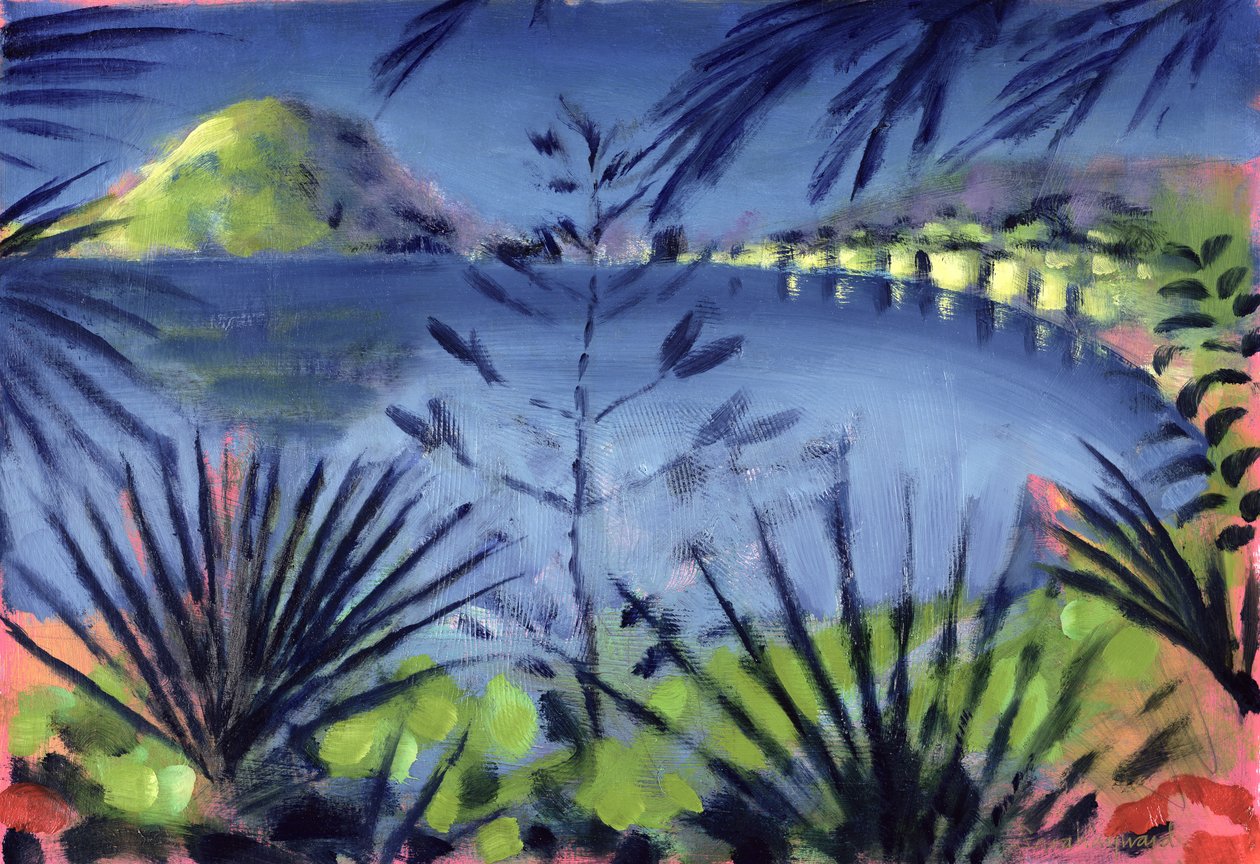 Über den See von Sara Hayward