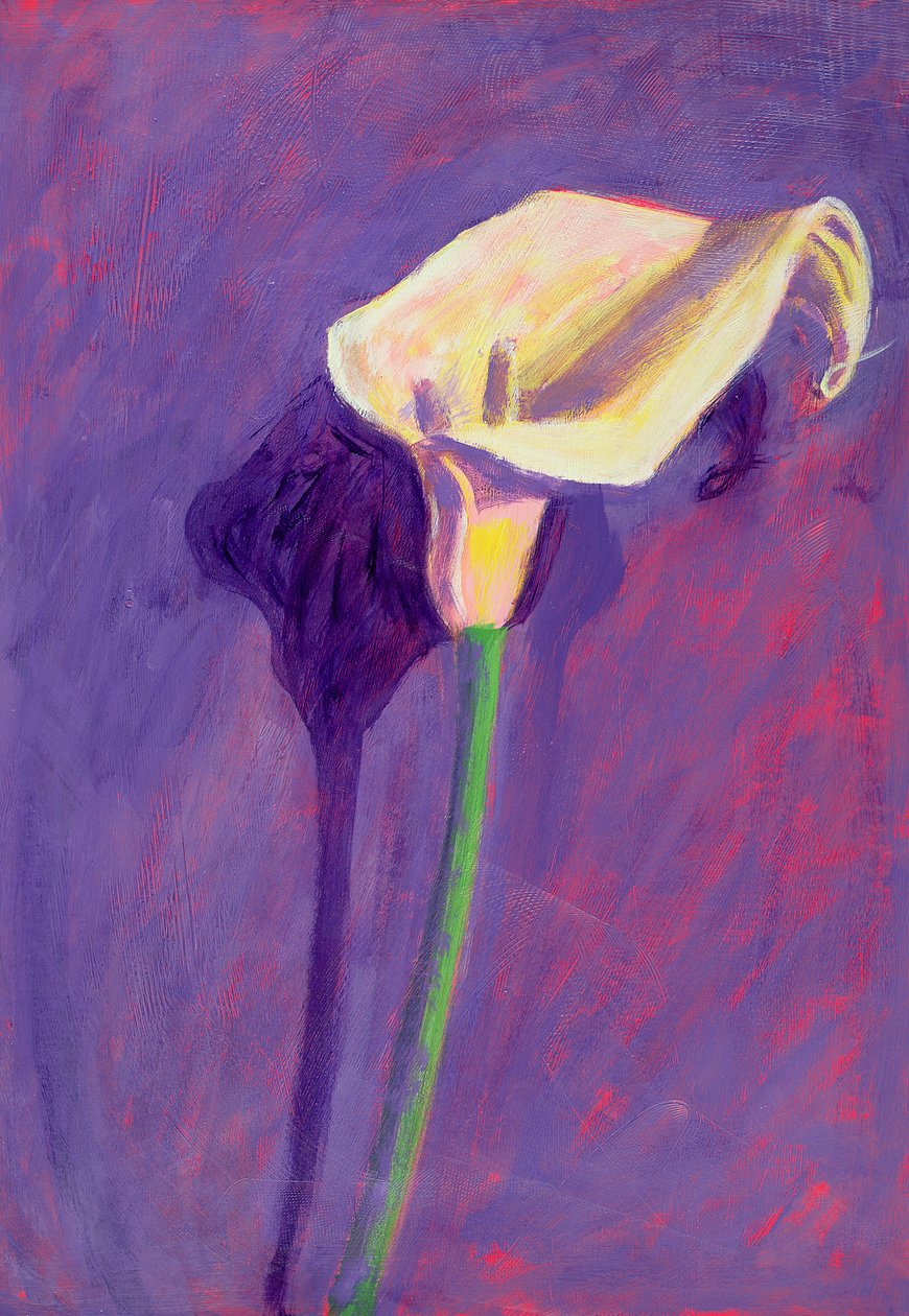 Aronstab von Sara Hayward