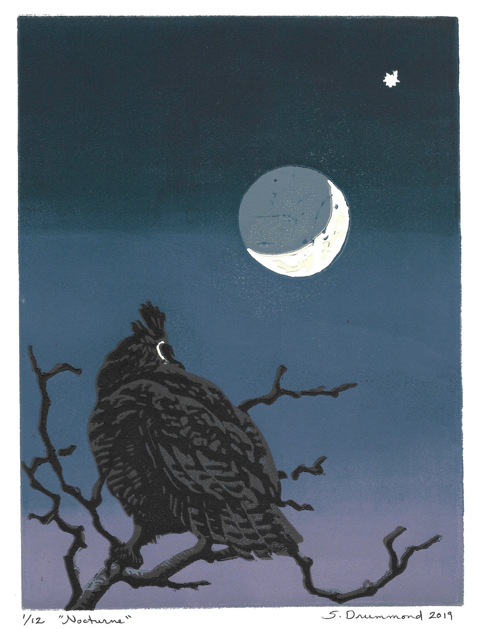 Nocturne, 2019 von Sarah Drummond