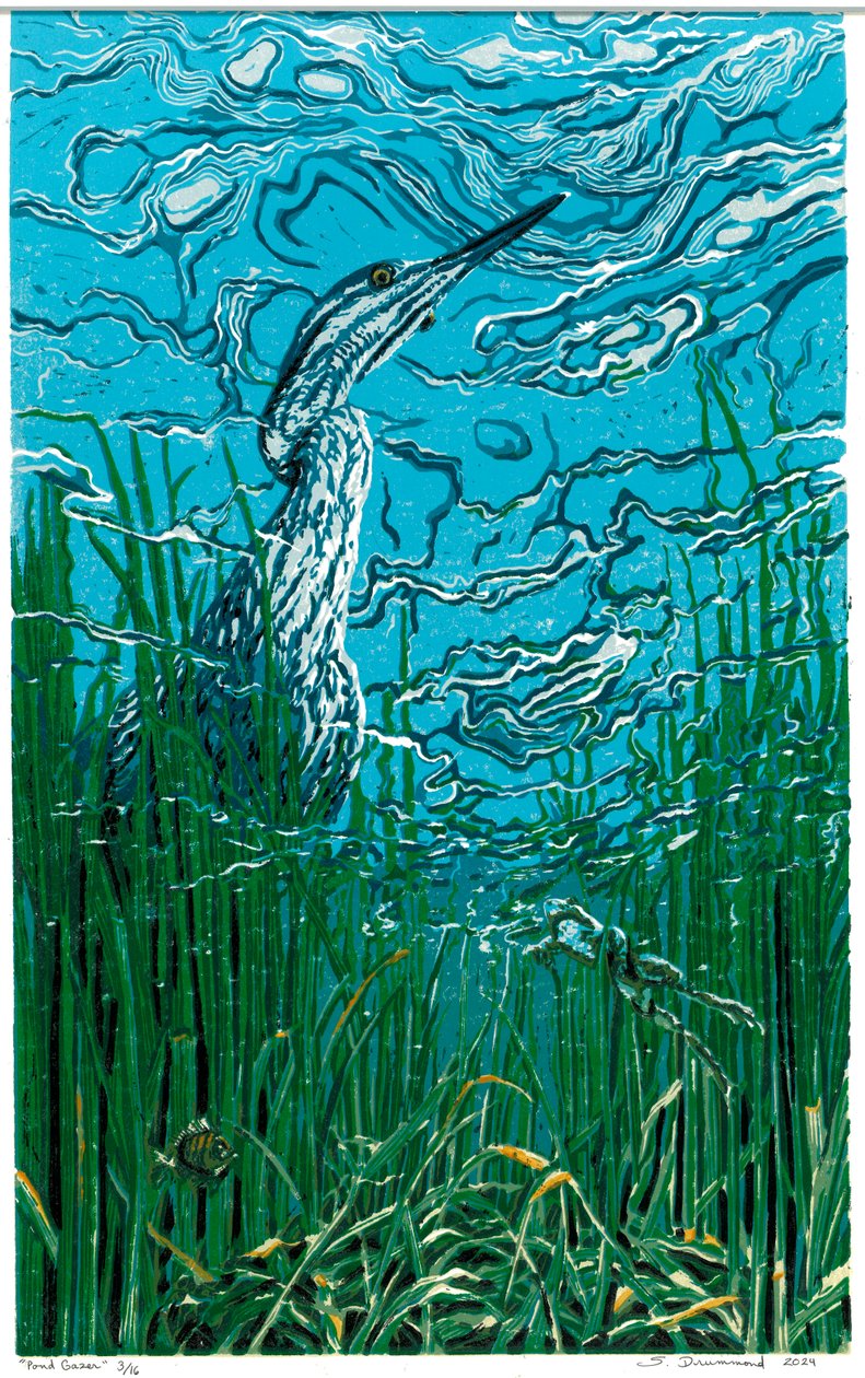 Pond Gazer, 2024 von Sarah Drummond