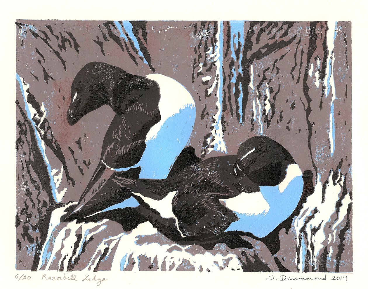 Razorbill-Fels, 2014 von Sarah Drummond