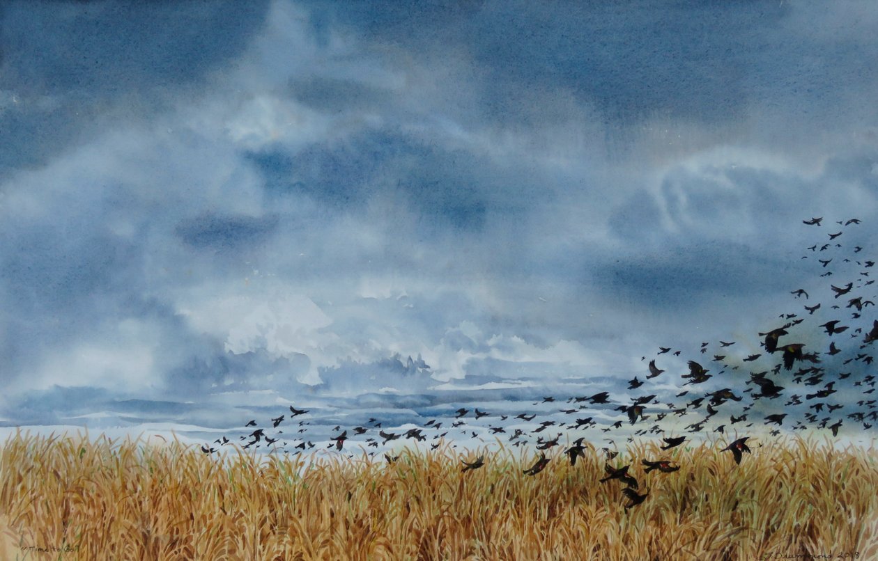 Zeit zu gehen, 2018 von Sarah Drummond