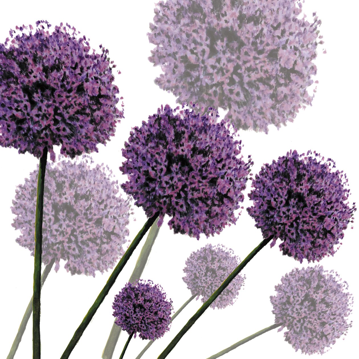 Allium Fernandez, 2004 von Sarah Hough