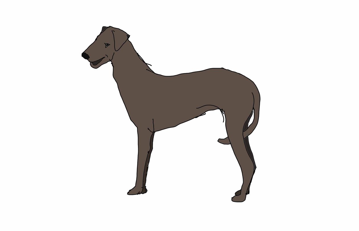 Jagdhund von Sarah Thompson Engels