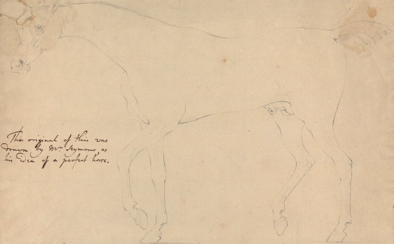 Ein perfektes Pferd von Sawrey Gilpin