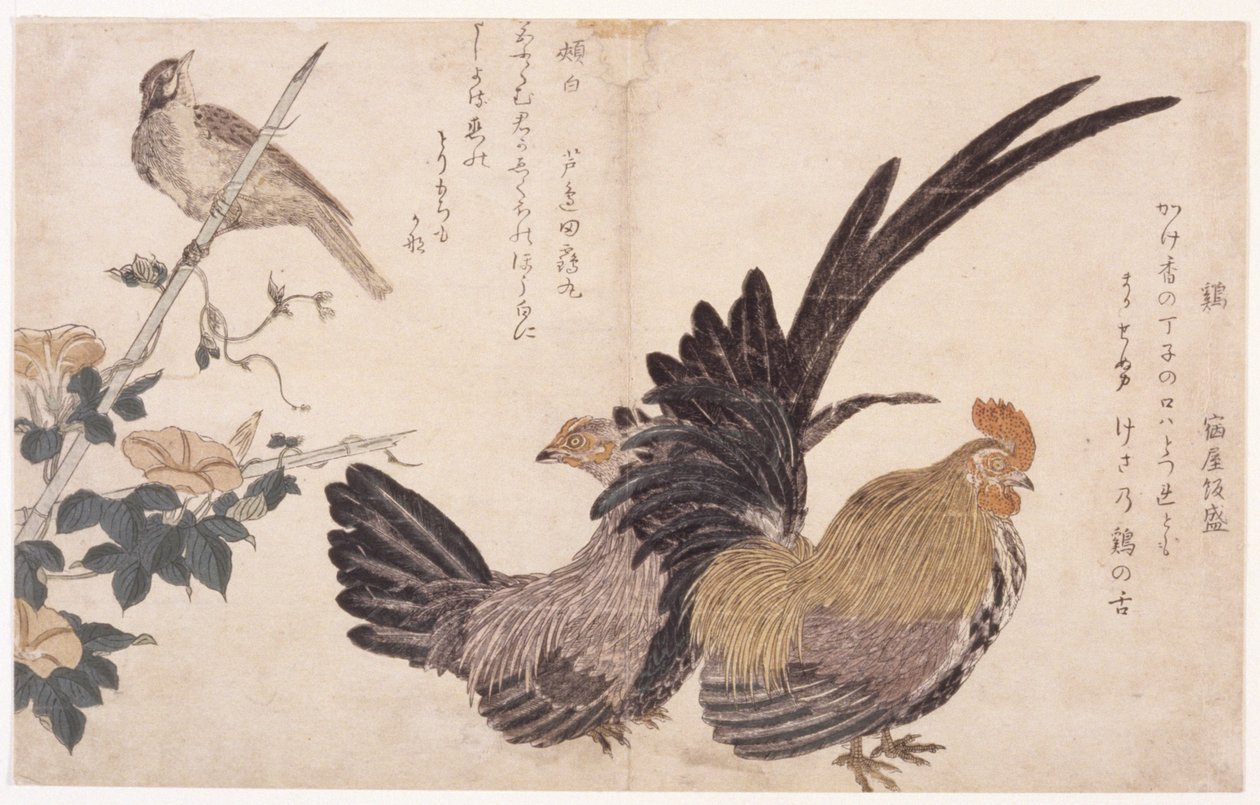 Hahn, Henne und Vogel von School Japanese