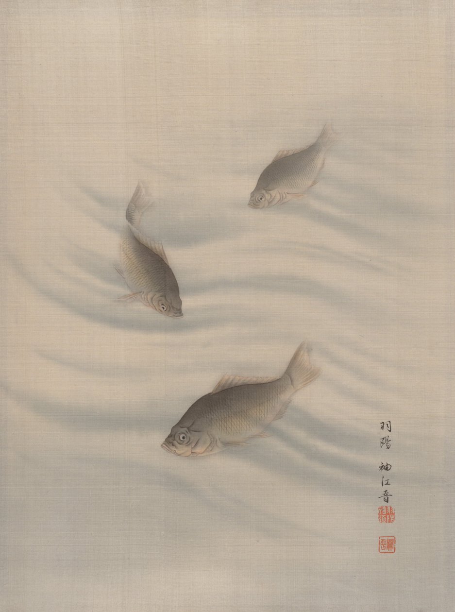 Fische schwimmen, ca. 1890-92 von Seki Shuko