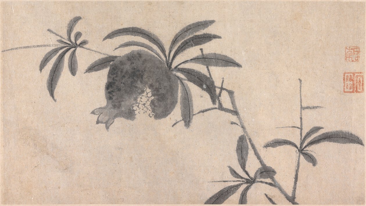 Früchte von Shen Zhou