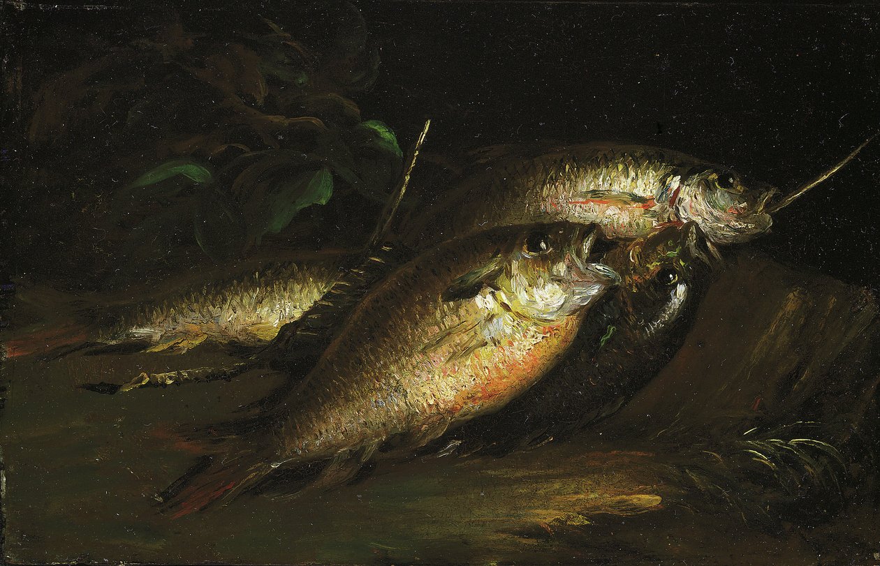 Fisch von Shepard Alonzo Mount