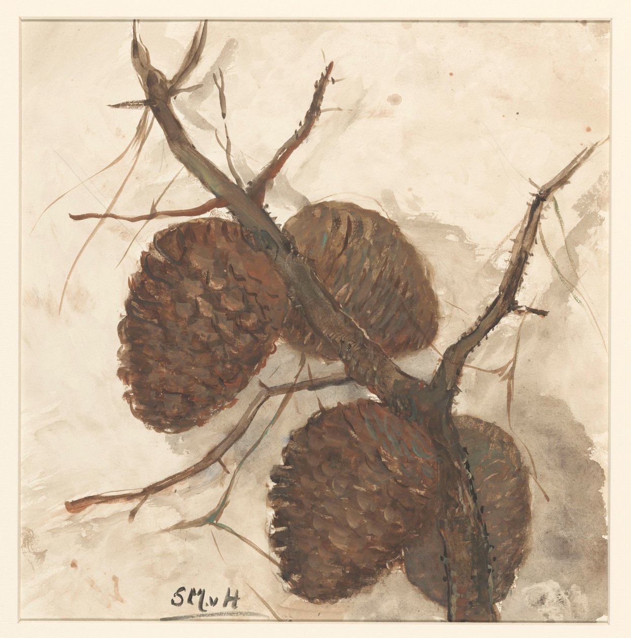 Fichtenzapfen an einem Zweig von Sientje Mesdag van Houten