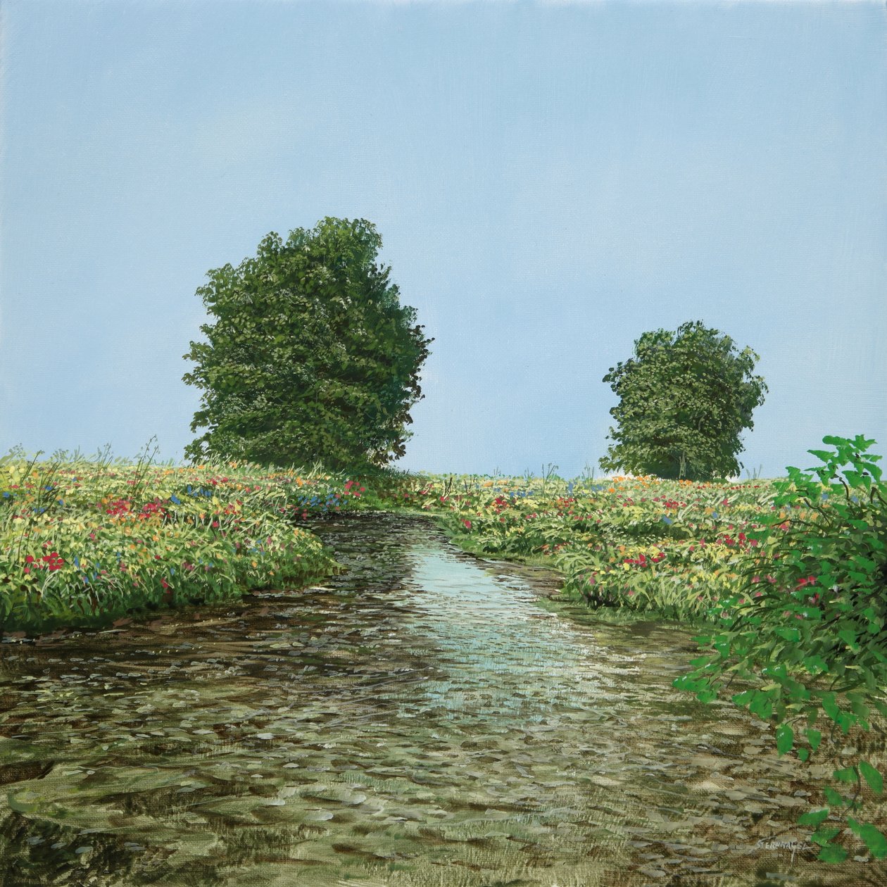 BBB-Baum-Bach-Bild von Silvian Sternhagel