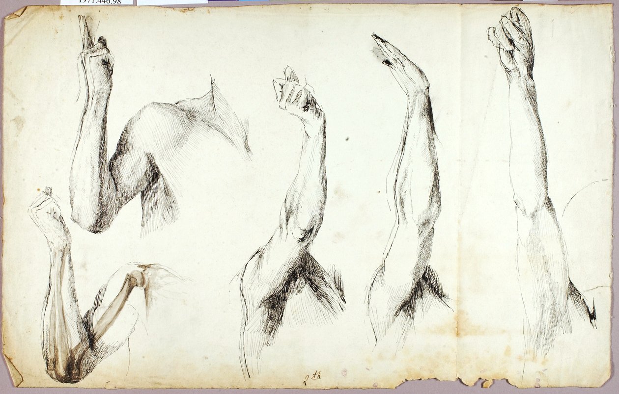 Armstudien, Nr. 2 von Solon H. Borglum