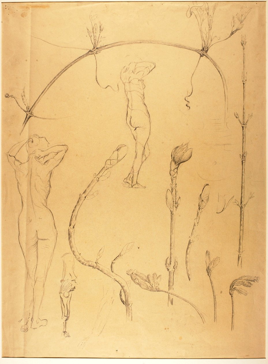 Zweig und Aktstudie von Solon H. Borglum