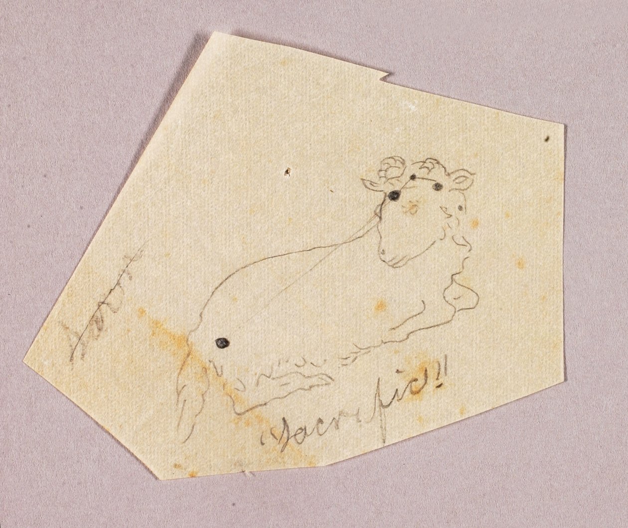 Ziege von Solon H. Borglum