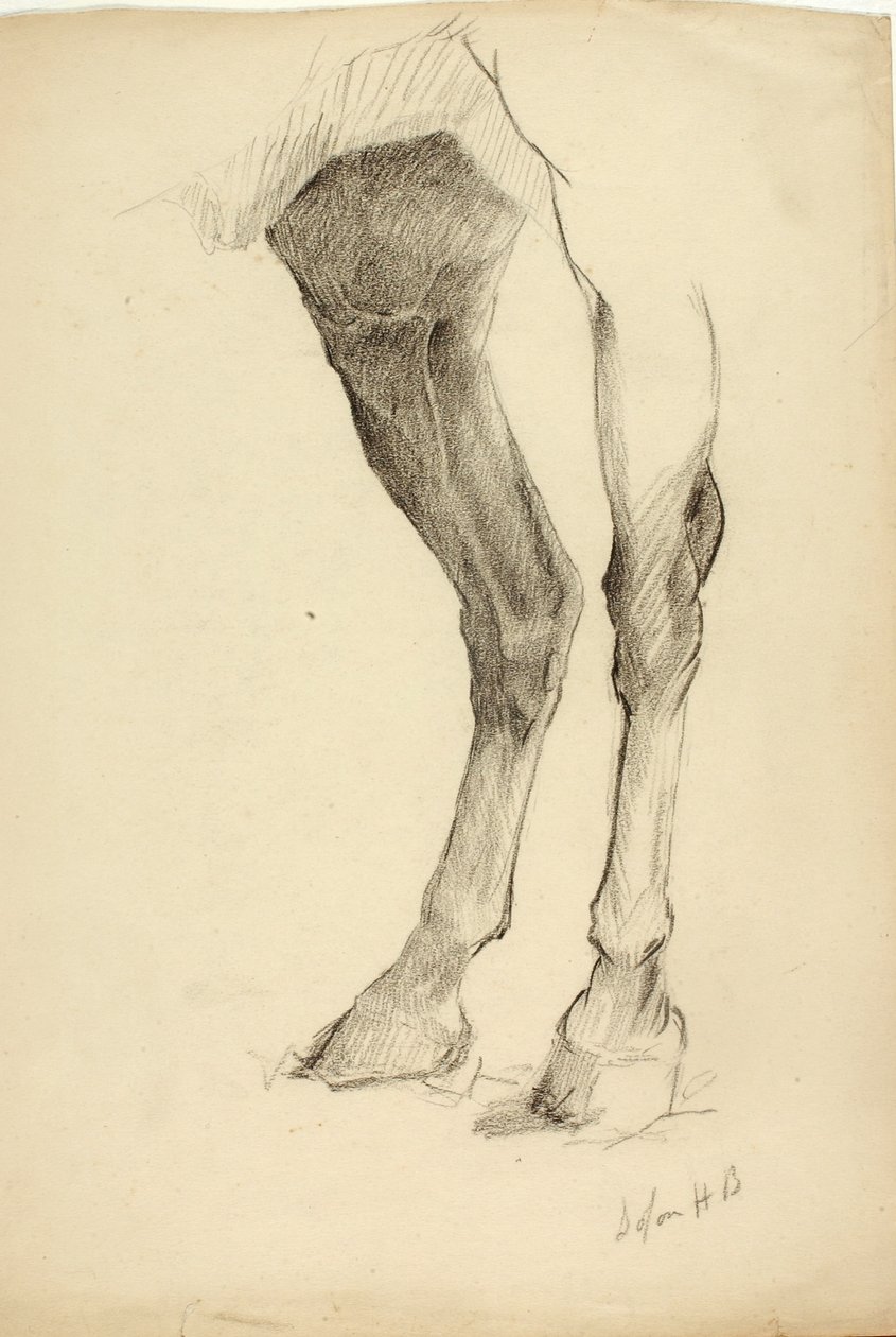 Pferdebein von Solon H. Borglum