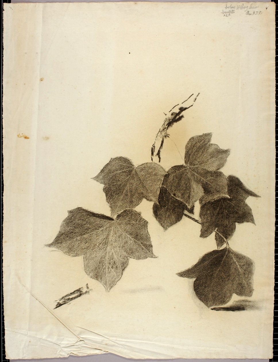Blätter von Solon H. Borglum